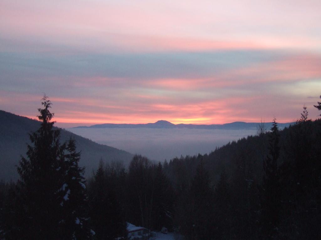 Silver Star Bed And Breakfast Вернон Екстер'єр фото