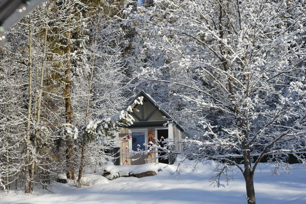 Silver Star Bed And Breakfast Вернон Екстер'єр фото